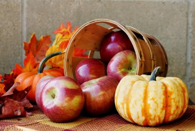 /158555-autumn-apples.jpg
